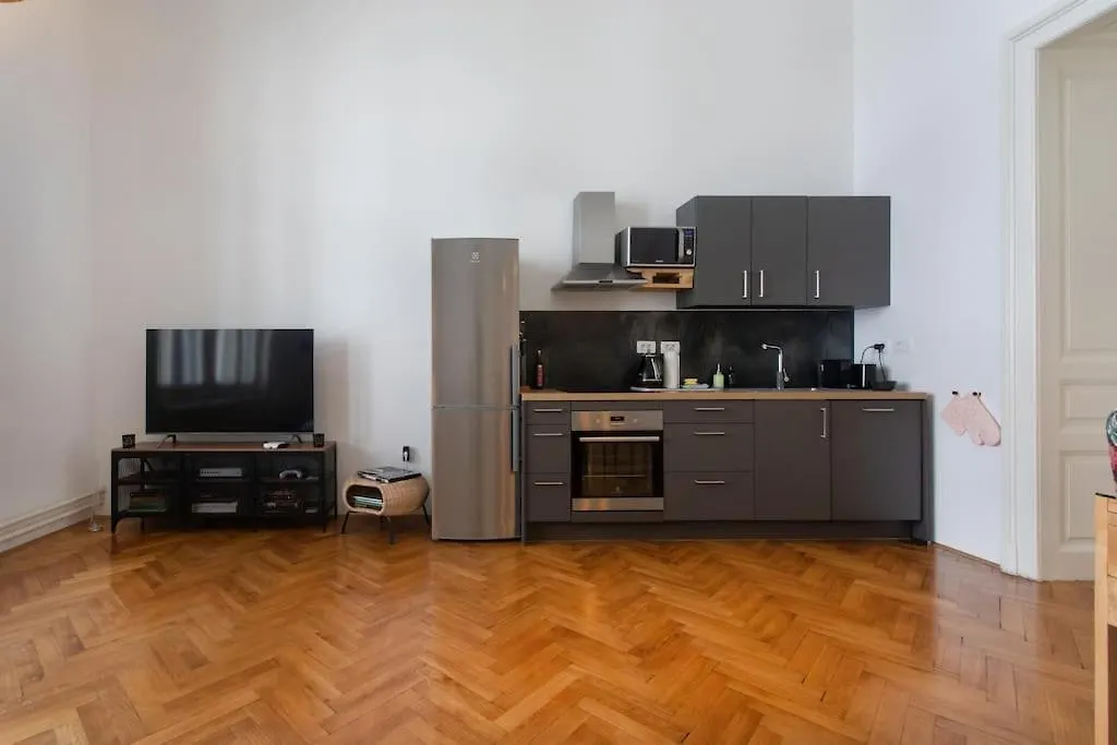 Spacious Apartment In Historic Centre & Free Parking Ljubljana